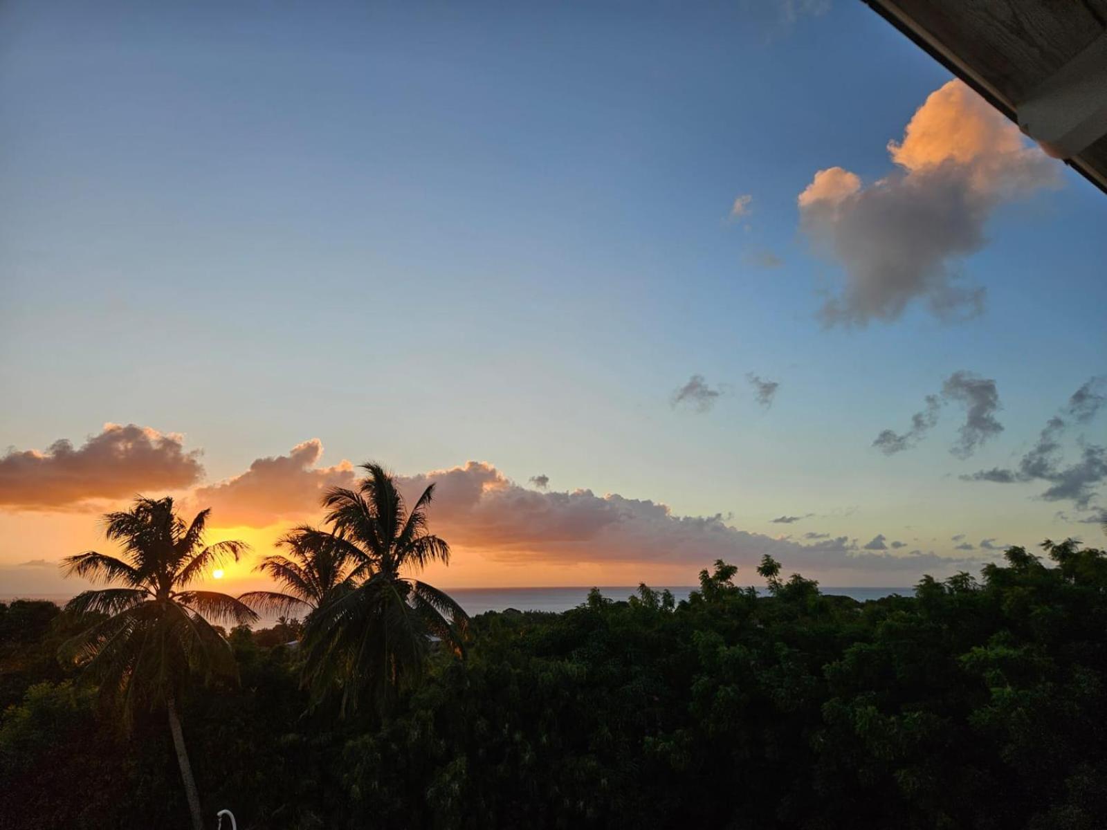 Purple Haze - Infinity Pool Holiday Home Minutes From The Island'S Best Beaches Сент-Джеймс Экстерьер фото