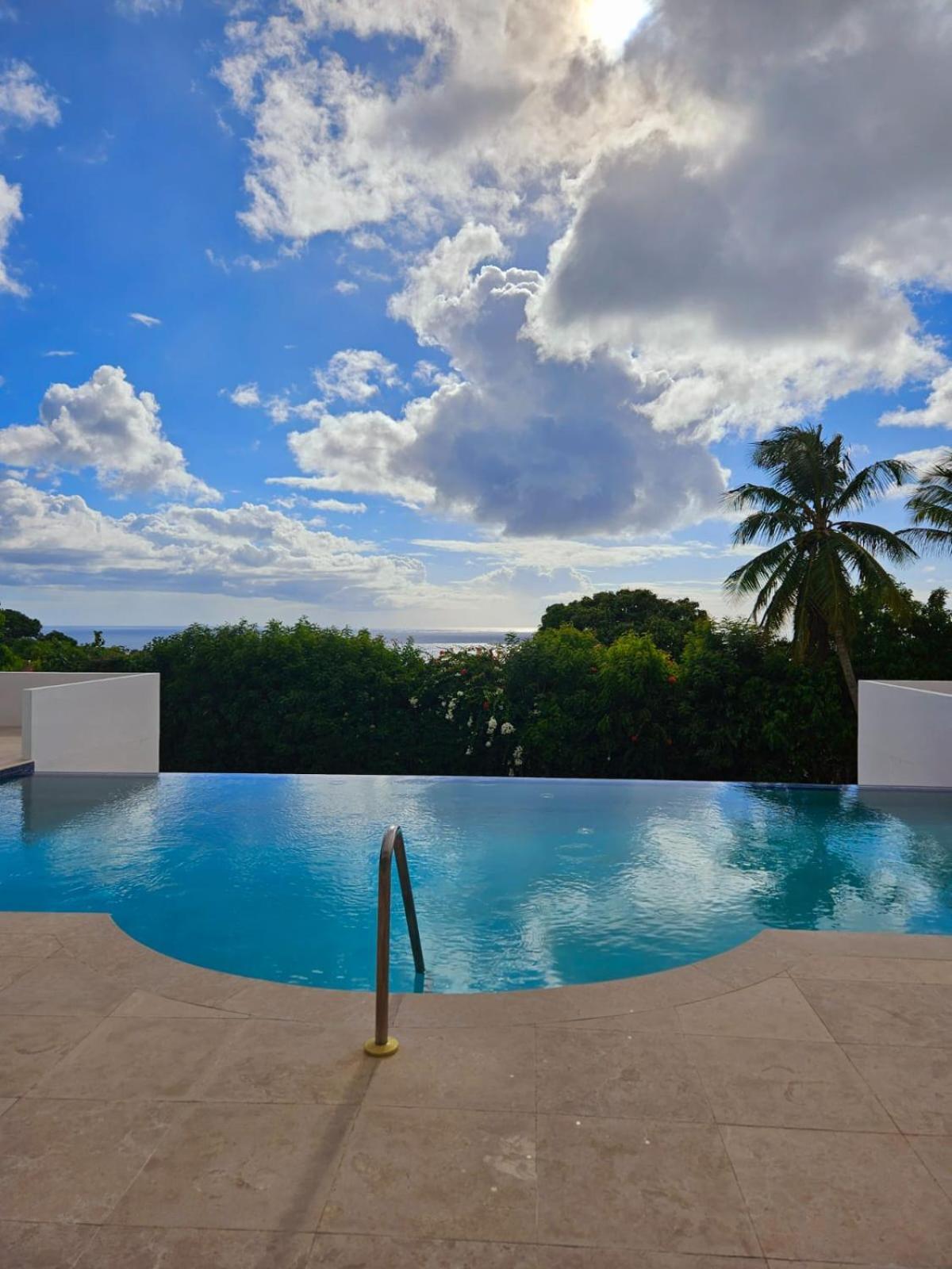 Purple Haze - Infinity Pool Holiday Home Minutes From The Island'S Best Beaches Сент-Джеймс Экстерьер фото