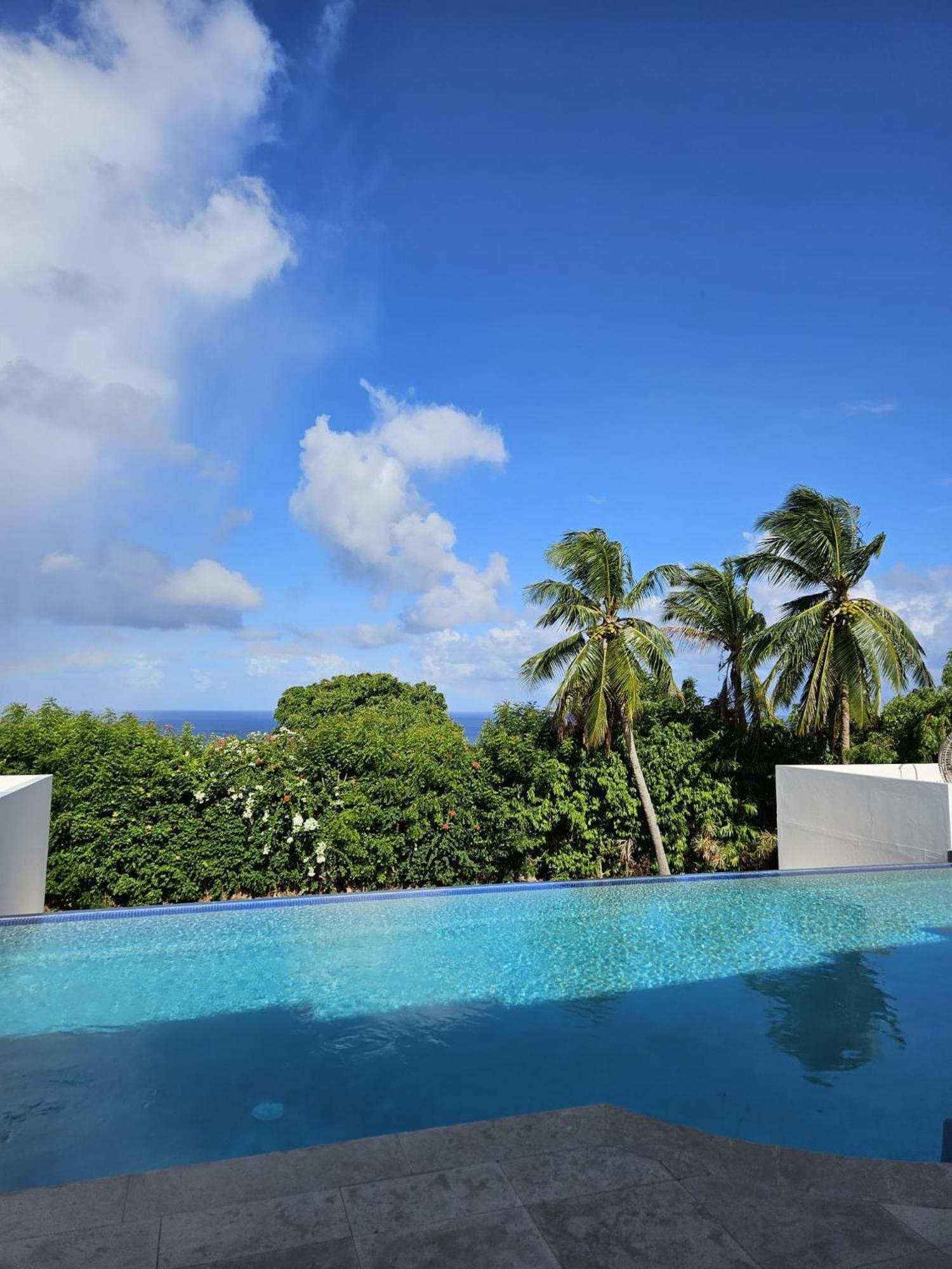 Purple Haze - Infinity Pool Holiday Home Minutes From The Island'S Best Beaches Сент-Джеймс Экстерьер фото
